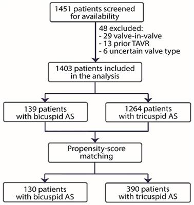Long-Term Mortality After TAVI for Bicuspid vs. Tricuspid Aortic Stenosis: A Propensity-Matched Multicentre Cohort Study